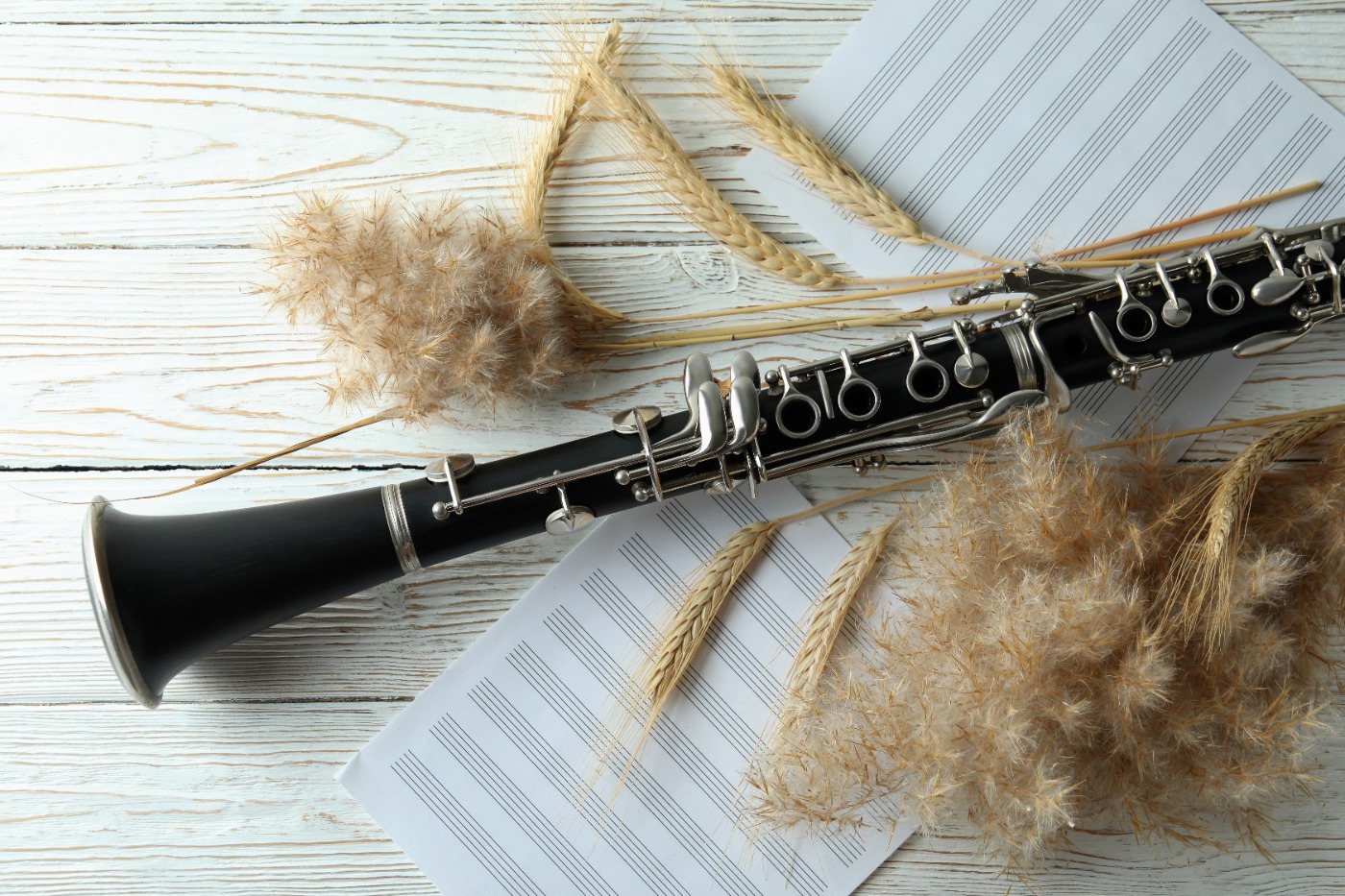 Muziekprogramma 2025 - 2026